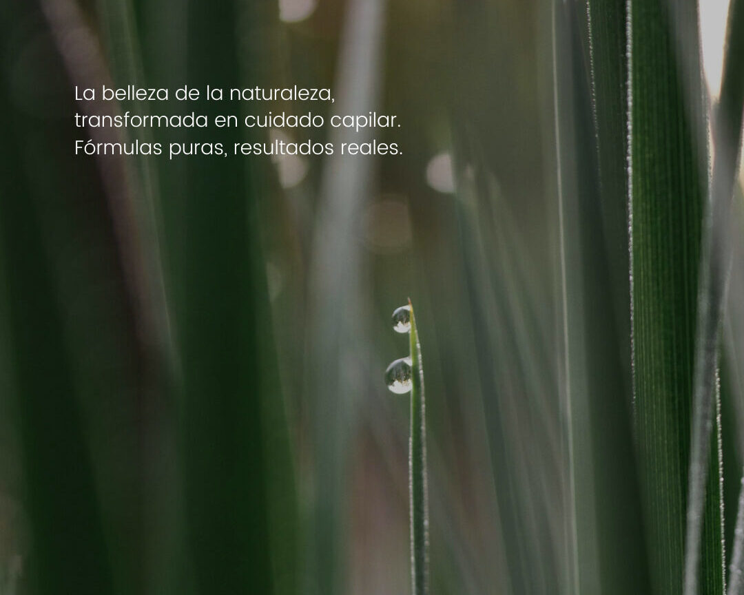 Inspo Driza La belleza de la naturaleza, transformada en cuidado capilar. Fórmulas puras, resultados reales.